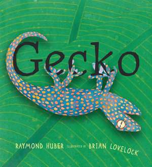 Gecko de Raymond Huber
