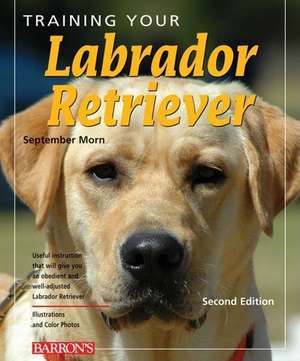 Training Your Labrador Retriever de September Morn