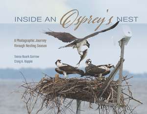 Inside an Osprey's Nest: A Photographic Journey through Nesting Season de Teena Ruark Gorrow