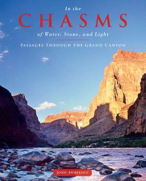 In the Chasms of Water, Stone, and Light: Passages Through the Grand Canyon de John Annerino