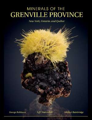 Minerals of the Grenville Province de George W. Robinson