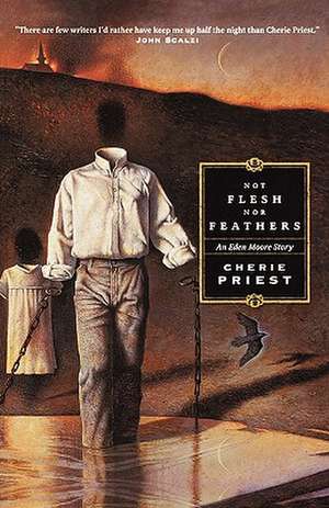 Not Flesh Nor Feathers de Cherie Priest