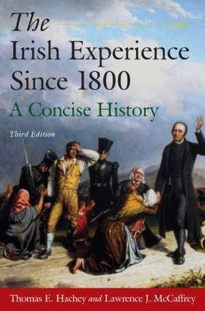 The Irish Experience Since 1800: A Concise History: A Concise History de Thomas E. Hachey