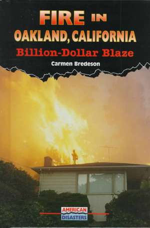 Fire in Oakland, California: Billion-Dollar Blaze de Carmen Bredeson