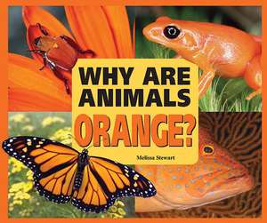 Why Are Animals Orange? de Melissa Stewart