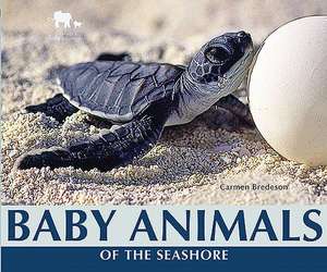 Baby Animals of the Seashore de Carmen Bredeson