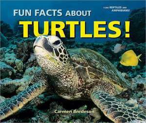 Fun Facts about Turtles! de Carmen Bredeson