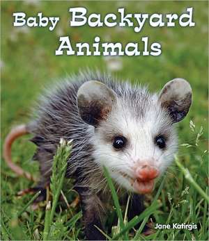 Baby Backyard Animals de Jane Katirgis