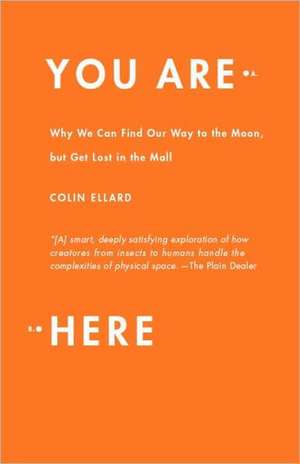 You Are Here: Why We Can Find Our Way to the Moon, But Get Lost in the Mall de Colin Ellard