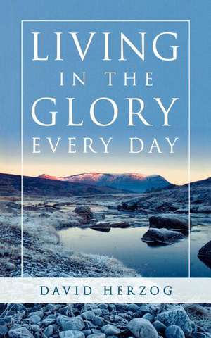 Living in the Glory Every Day de David Herzog