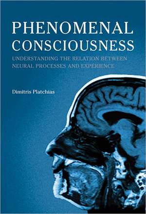 Phenomenal Consciousness: Understanding the Relation between Experience and Neural Processes in the Brain de Dimitris Platchias