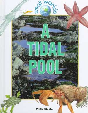 A Tidal Pool de Philip Steele