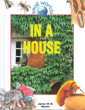 In a House de James W. R. Martin