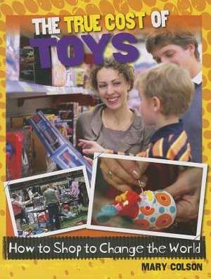 The True Cost of Toys de Mary Colson