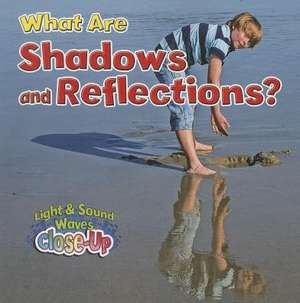 What Are Shadows and Reflections? de Robin Johnson