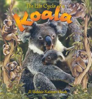 Koala de Bobbie Kalman