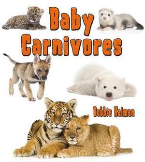 Baby Carnivores de Bobbie Kalman