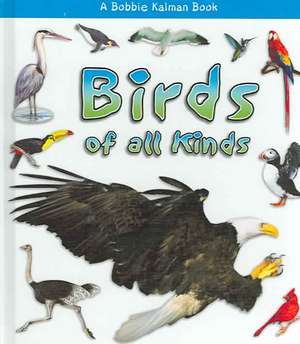 Birds of All Kinds de Rebecca Sjonger