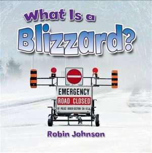What Is a Blizzard? de Robin Johnson