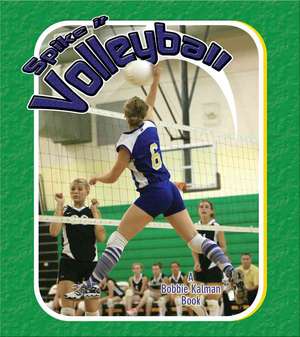 Spike It Volleyball de John Crossingham