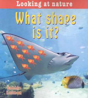 What Shape Is It? de Bobbie Kalman