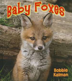 Baby Foxes de Bobbie Kalman