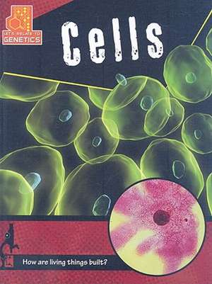 Cells de Marina Cohen