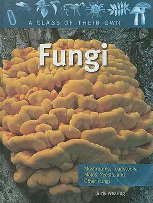 Fungi: Mushrooms, Toadstools, Molds, Yeasts, and Other Fungi de Judy Wearing