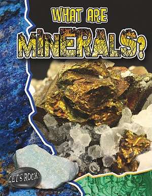 What Are Minerals? de Natalie Hyde