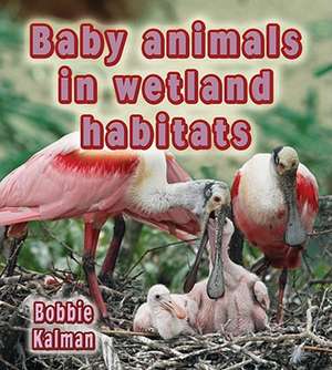 Baby Animals in Wetland Habitats de Bobbie Kalman