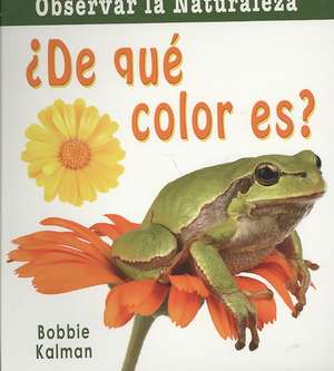 De Que Color Es? = What Color Is It? de Bobbie Kalman