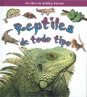 Reptiles de Todo Tipo de Kelley MacAulay