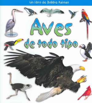 Aves de Todo Tipo de Rebecca Sjonger