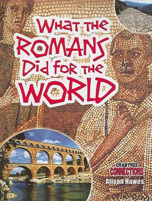 What the Romans Did for the World de Alison Hawes