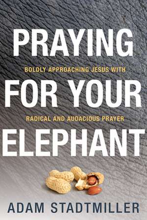 Praying for Your Elephant: Boldly Approaching Jesus with Radical and Audacious Prayer de Adam Stadtmiller