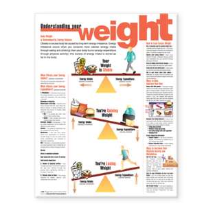 Understanding Your Weight Anatomical Chart de Anatomical Chart Company