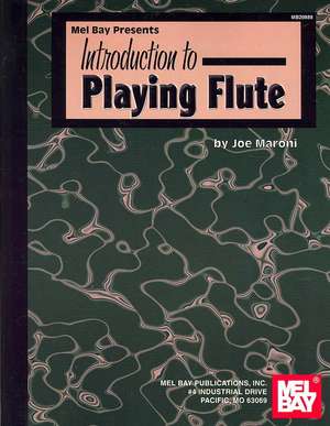 Introduction to Playing Flute de Joe Maroni