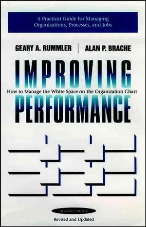 Improving Performance: How to Manage the White Space in the Organization Chart de Geary A. Rummler