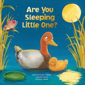 Are You Sleeping Little One de Hans-Christian Schmidt