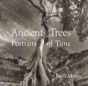 Ancient Trees: Portraits of Time de Beth Moon