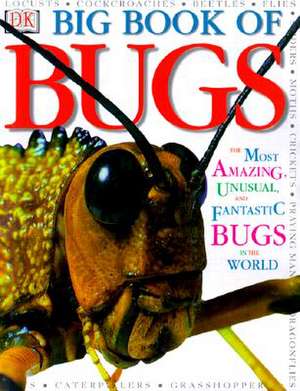 Big Book of Bugs de Theresa Greenaway