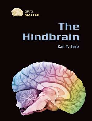 The Hindbrain de Carl Y. Saab