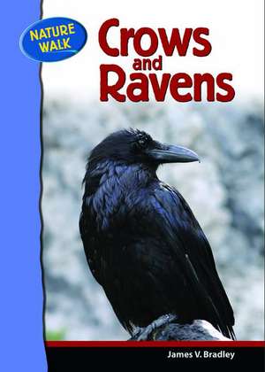 Crows and Ravens de James V. Bradley