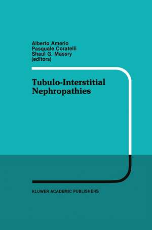 Tubulo-Interstitial Nephropathies: Proceedings of the 4th Bari Seminar in Nephrology, Bari, Italy, April 25–28, 1990 de Alberto Amerio