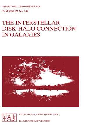 The Interstellar Disk-Halo Connection in Galaxies de Hans Bloemen