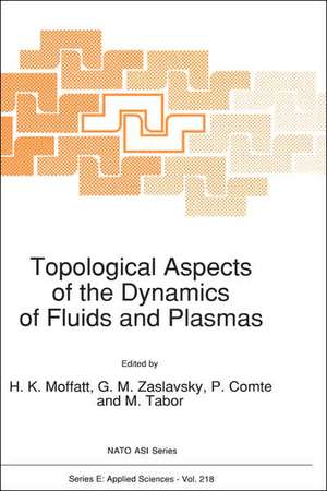 Topological Aspects of the Dynamics of Fluids and Plasmas de H. K. Moffatt