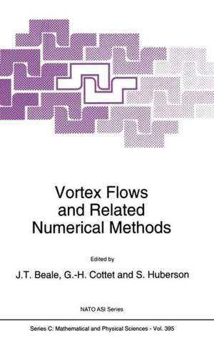 Vortex Flows and Related Numerical Methods de J.T. Beale