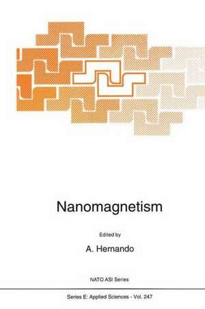 Nanomagnetism de A. Hernando