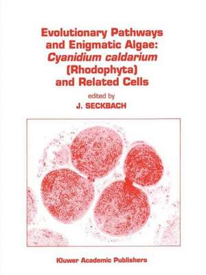 Evolutionary Pathways and Enigmatic Algae: Cyanidium caldarium (Rhodophyta) and Related Cells de Joseph Seckbach