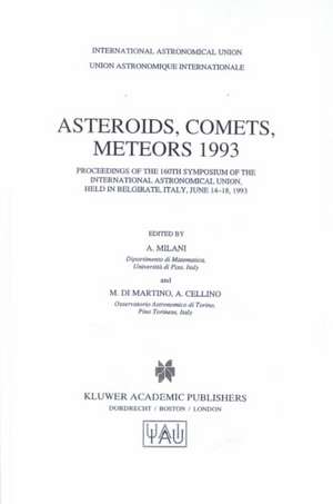 Asteroids, Comets, Meteors 1993 de International Astronomical Union